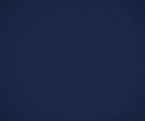 Delta